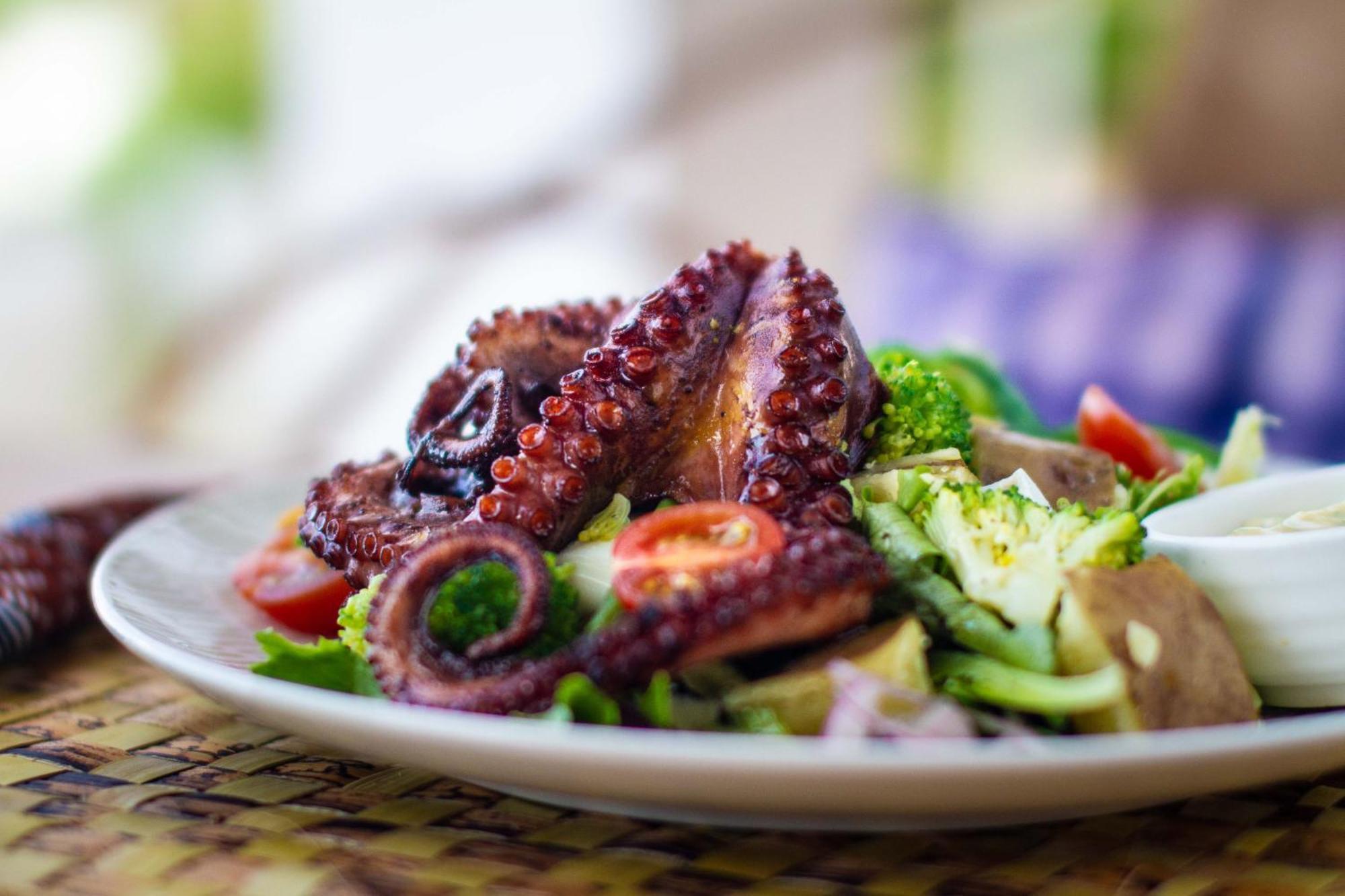 Kupaga Villas Boutique Hotel - Adults Only Jambiani  Dış mekan fotoğraf
